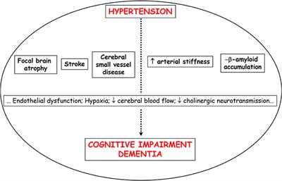 Hypertension and the Risk of Dementia